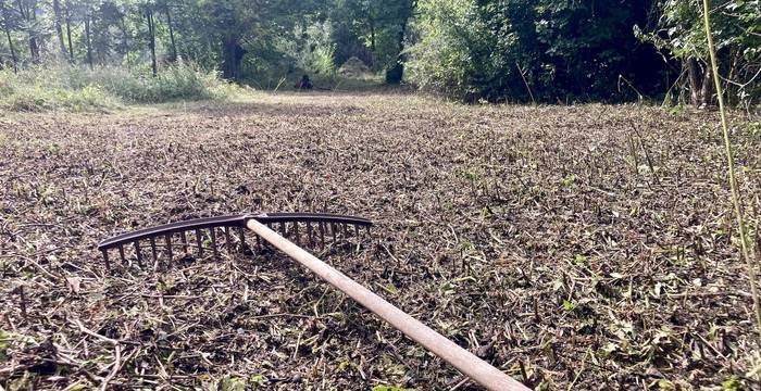 rastrello rastrellamento riserva Pollegio Pasquerio 