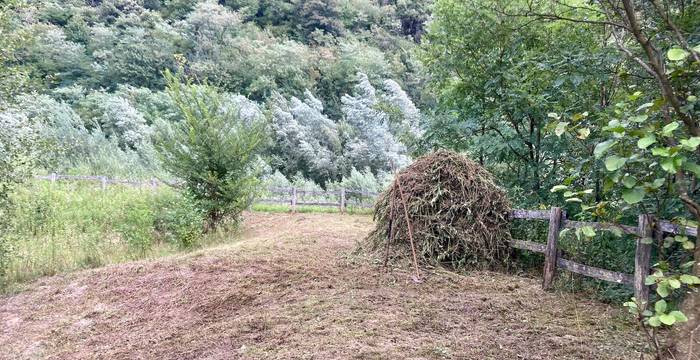 Rastrellamento mucchio Froda riserva Biasca