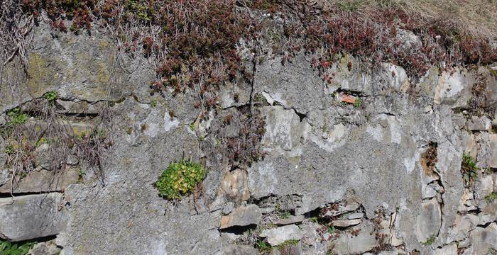 Muro nel Mendrisiotto