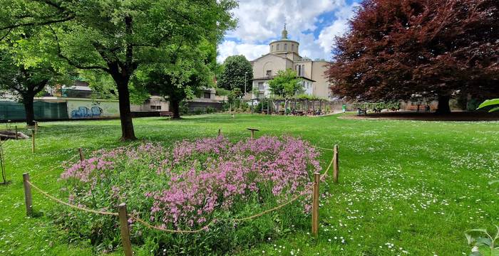 Prato fiorito al parco Guggirolo