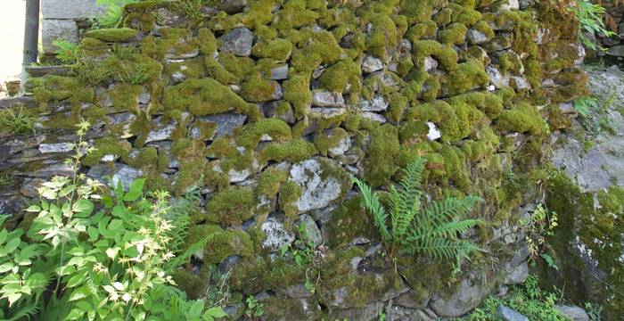 Edificio rinnovato, muro salvato