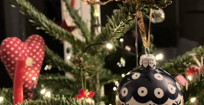 albero natale speciale