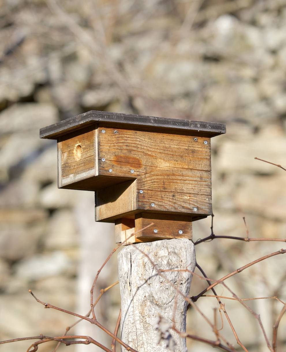 Cassetta nido moderna