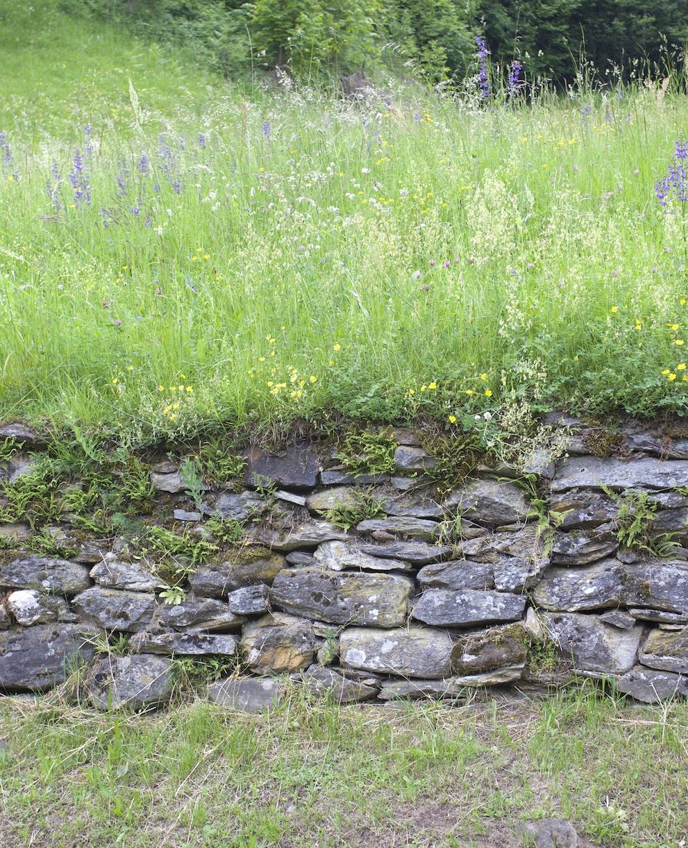 Muro a secco e prato magro