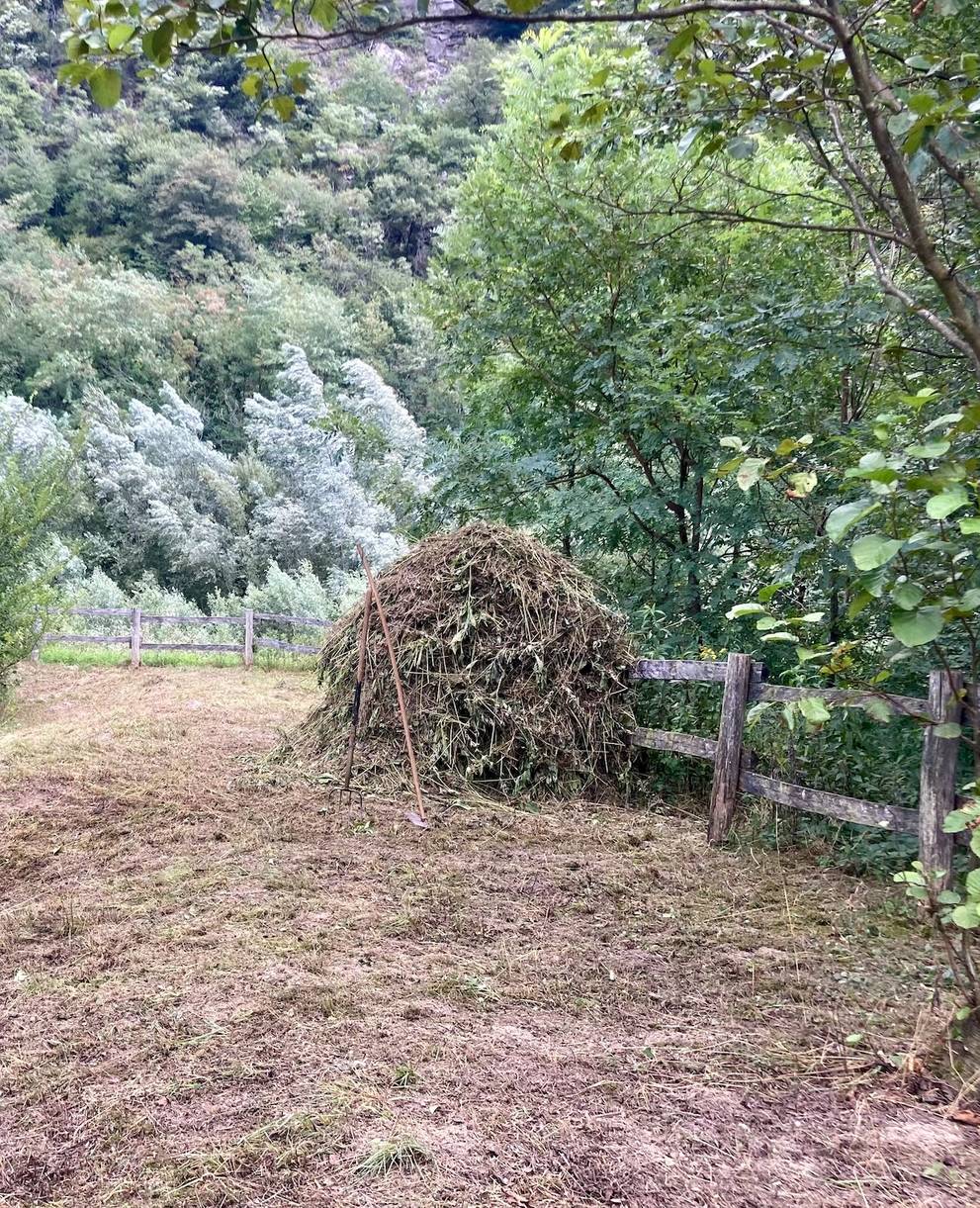 Rastrellamento mucchio Froda riserva Biasca