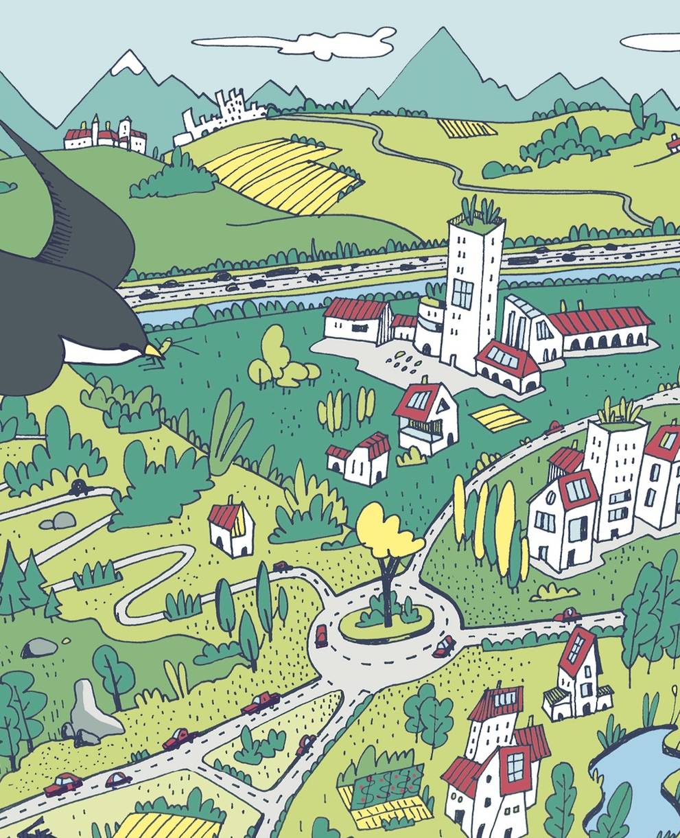 dettaglio copertina Guida bordi stradali