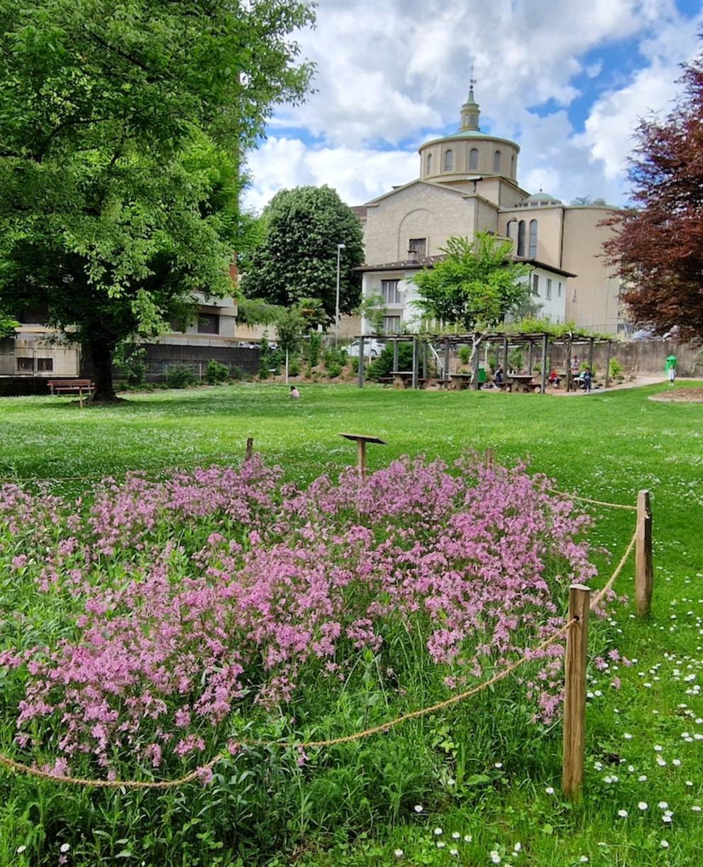 Prato fiorito al parco Guggirolo