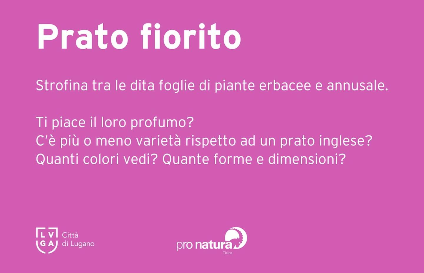 cartello attività prato